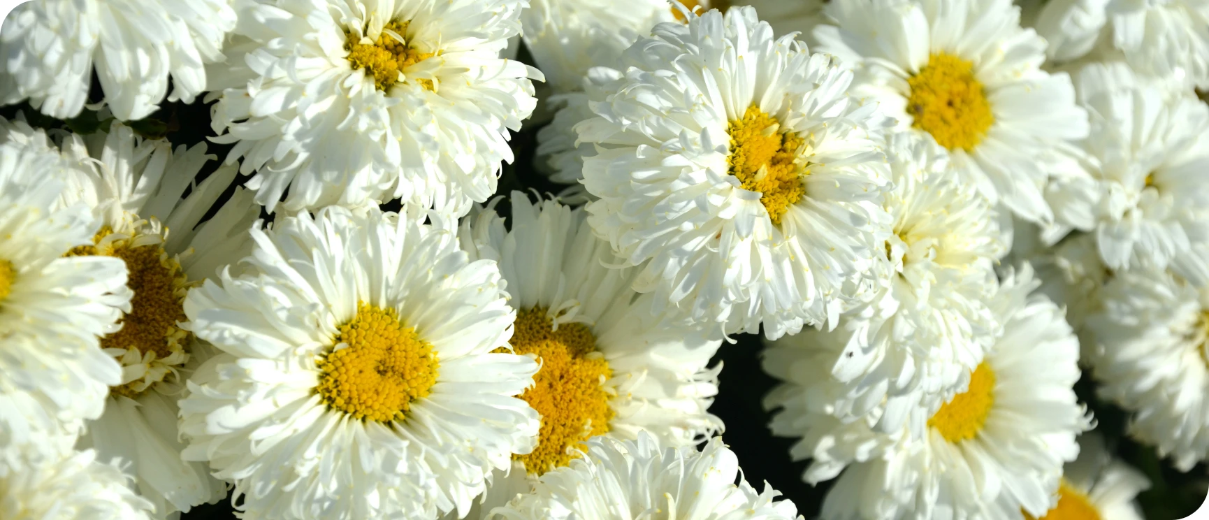 Wyjątkowe promocje Wyjątkowe promocje