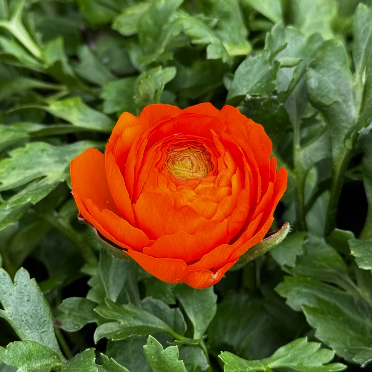 Pierwsze dni nowego sezonu