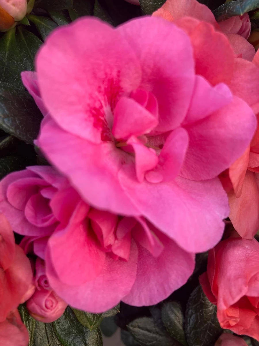 W poszukiwaniu wiosny ...