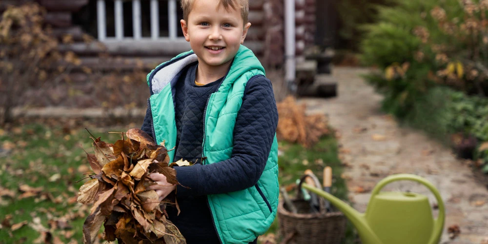 Jesienne porządki w ogrodzie: Jak skutecznie przygotować się na zimę