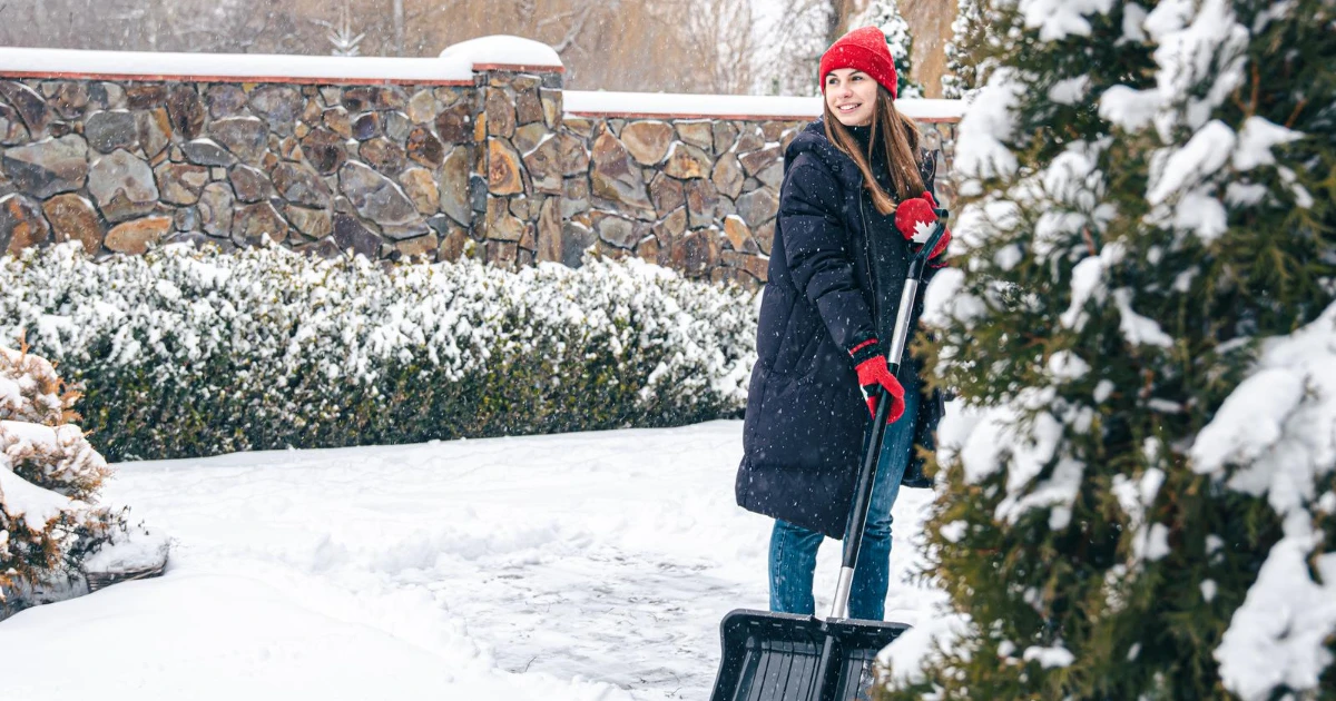 Ogrodnictwo zimą - co można przygotować w ogrodzie
