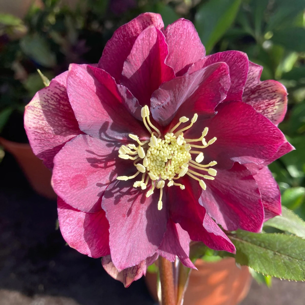 Otwarcie sezonu 2025!