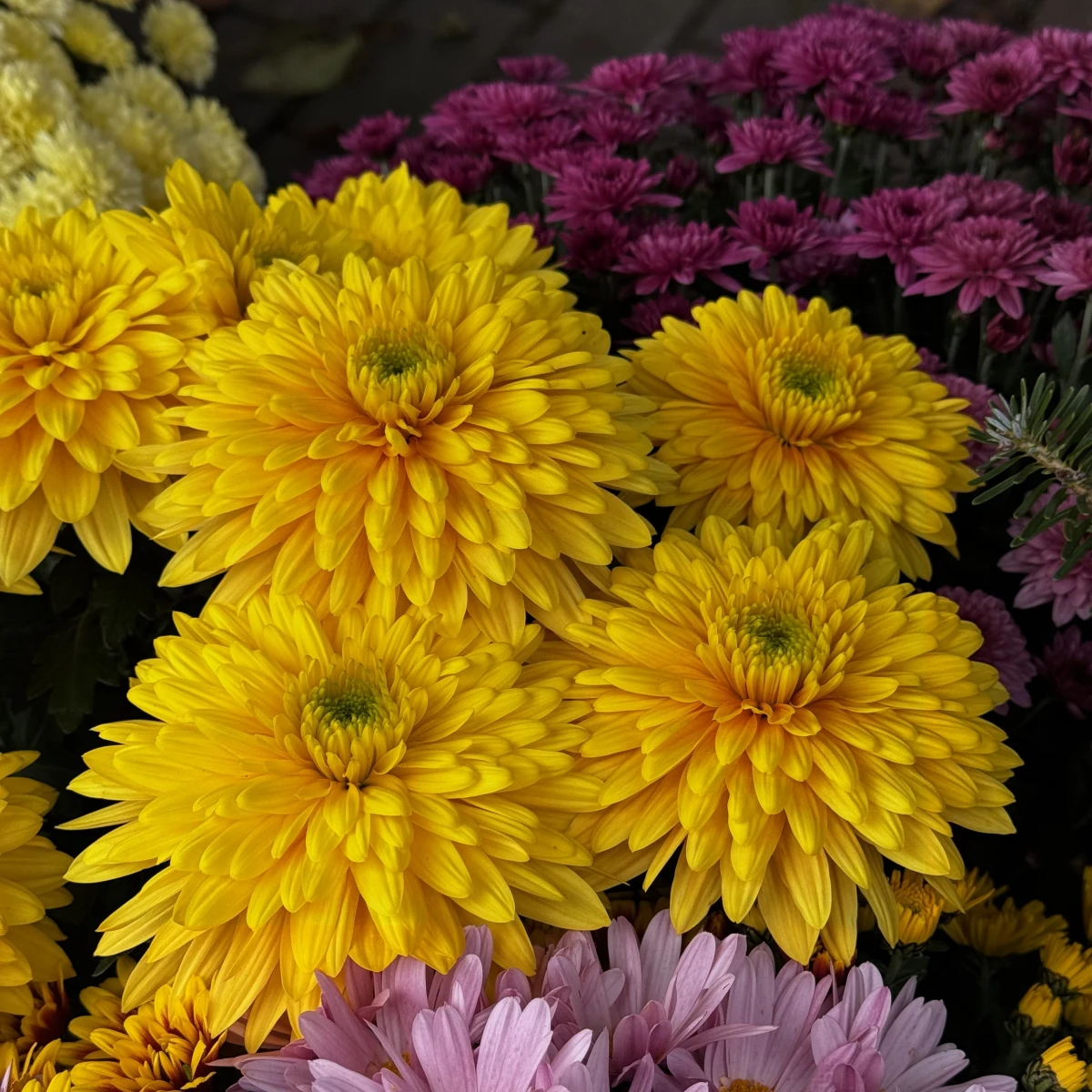 Złota jesień oraz Uroczystość Wszystkich Świętych