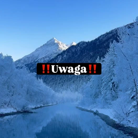 Znaleziono obrączkę